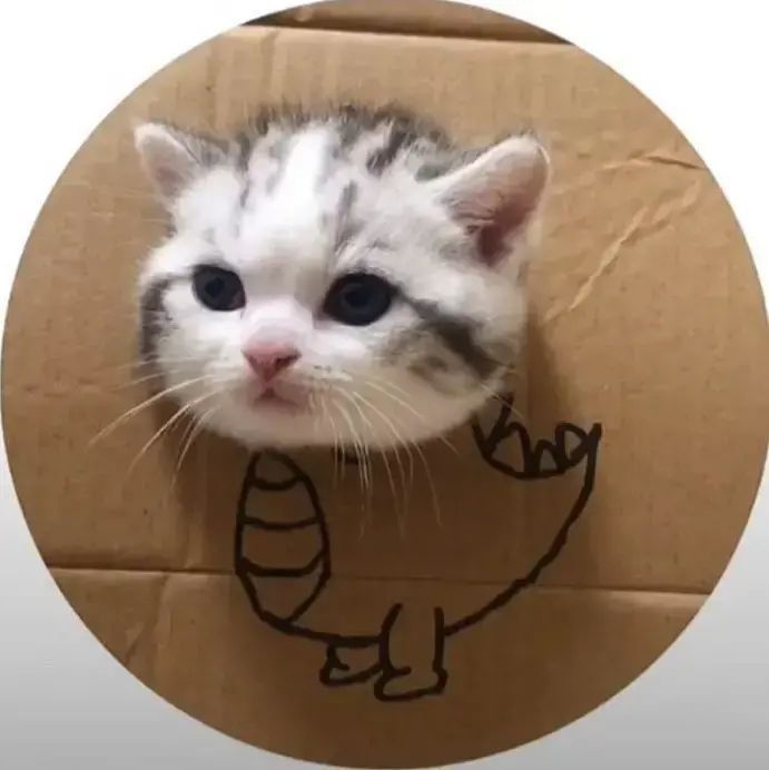 公务员选岗咨询，笔试面试准备咨询，体检政审...