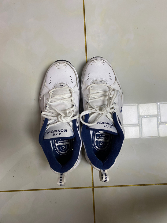 Nike air monarch