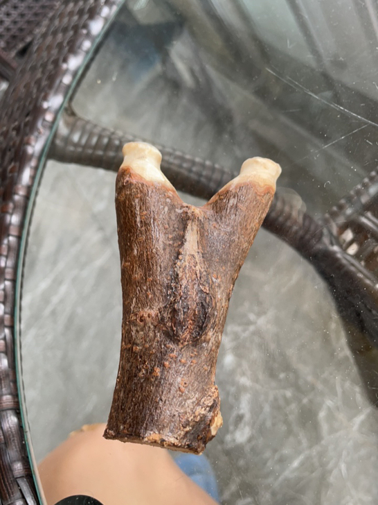 非常奇葩的弹弓！细看细看！弓门63撑头15...