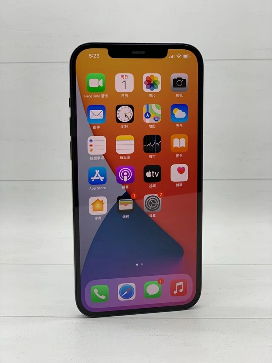 型号 ：iPhone 12ProMax