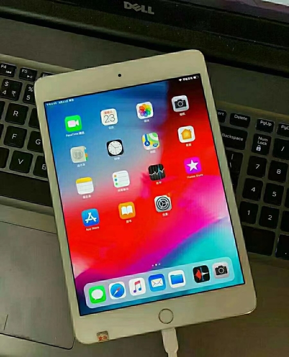 iPad mini4国行16g,考研,学习...