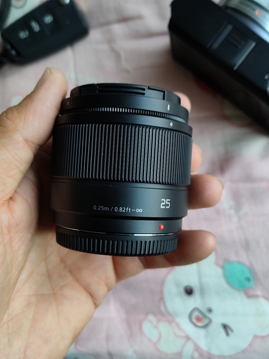 松下25mm f1.7 m4/3口  9....