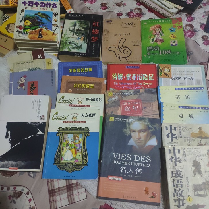 中高考必读书目 名著 青少年读物