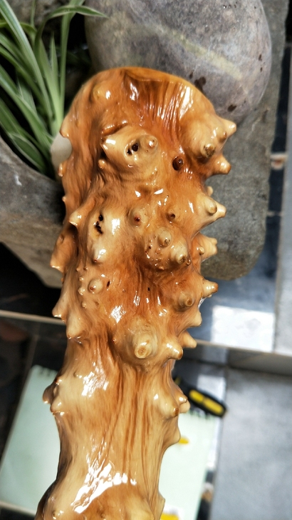 长25cm##amp;mdash;##am...