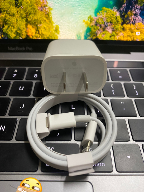 个人闲置转让   快充20W 充电器
