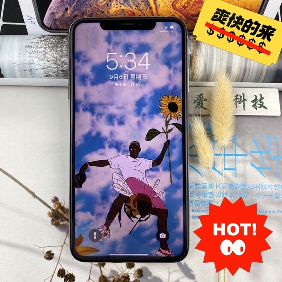 iPhoneXSMax256G 女生手机 ...