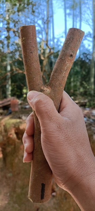 油茶木弹弓原叉弹弓精品胚料，高密老料，精挑...
