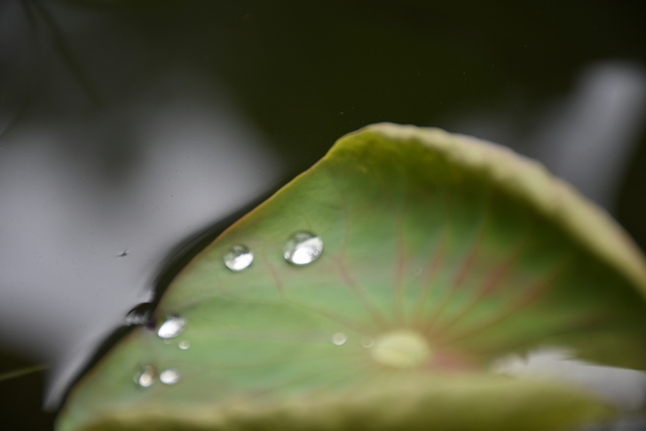 尼康d7500配一个18-140的长焦镜头...