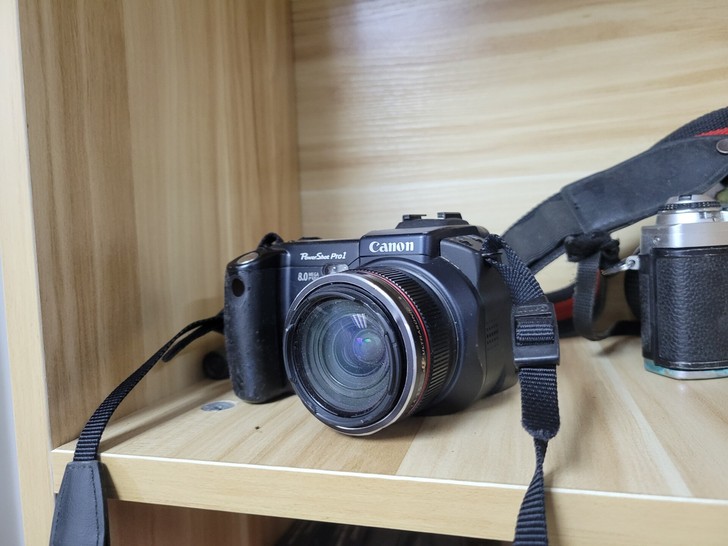 佳能 powershot pro1，喜欢带...