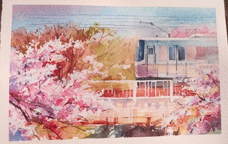 水彩画作品《樱花列车》