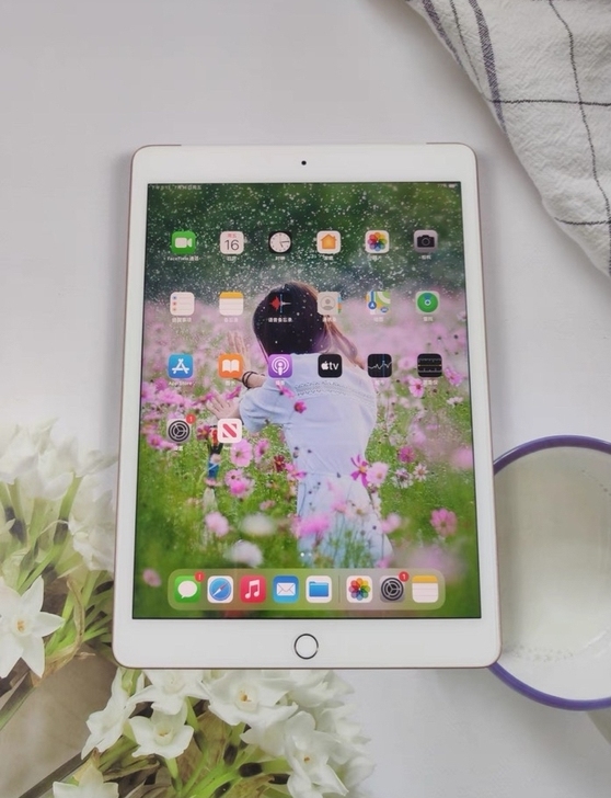 绘画考研，ipad2020 ipad第八代...