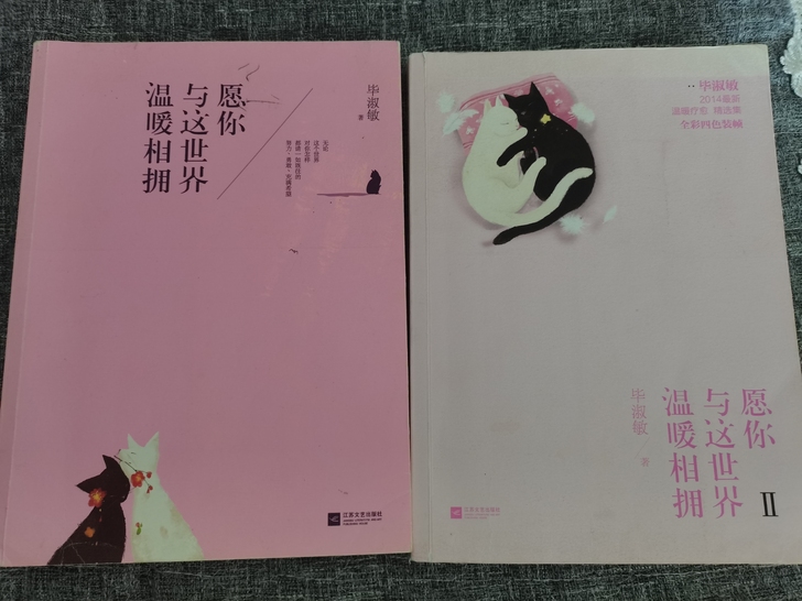 毕淑敏著作，可照抄美句美段，现已绝版，可小刀
