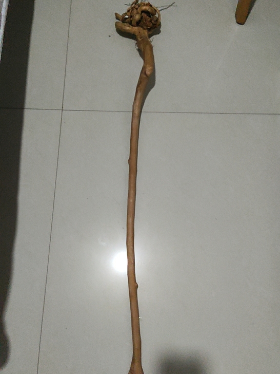 天热根雕，未做过处理，原生态树木，底座是三...