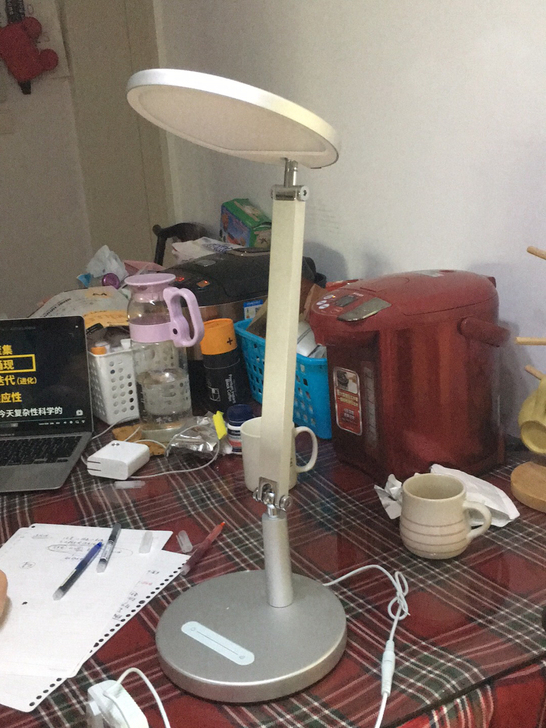 柏曼 护眼灯