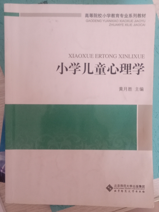 小学儿童心理学 黄月胜主编