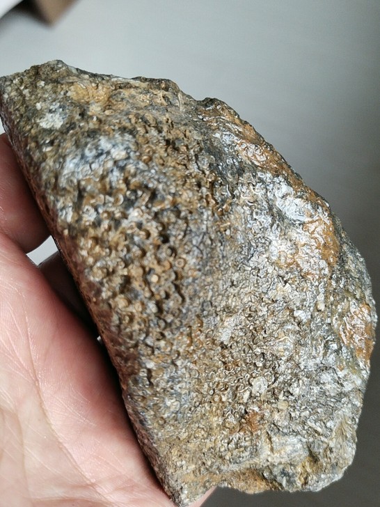 奇石～（化石）~自己捡的，纹理特别，不可多...