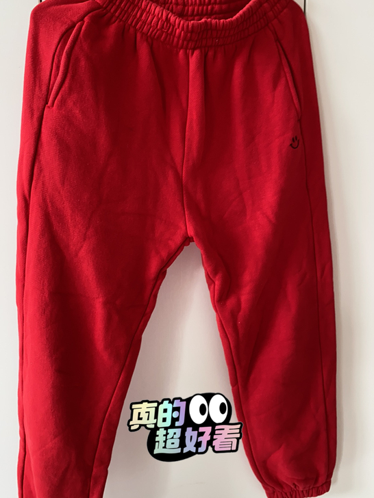 女士秋冬休闲束腿裤简约大气