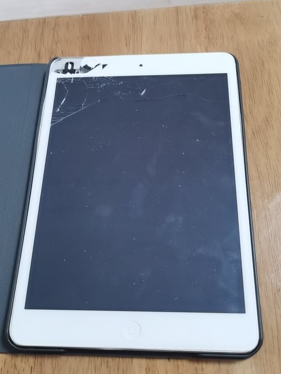 求购一台闲置自用的iPad mini2  ...
