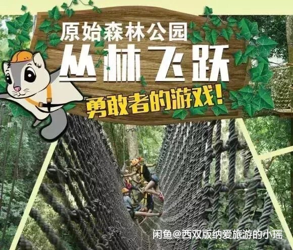 西双版纳原始森林公园丛林飞跃  Ａ段  Ｂ...
