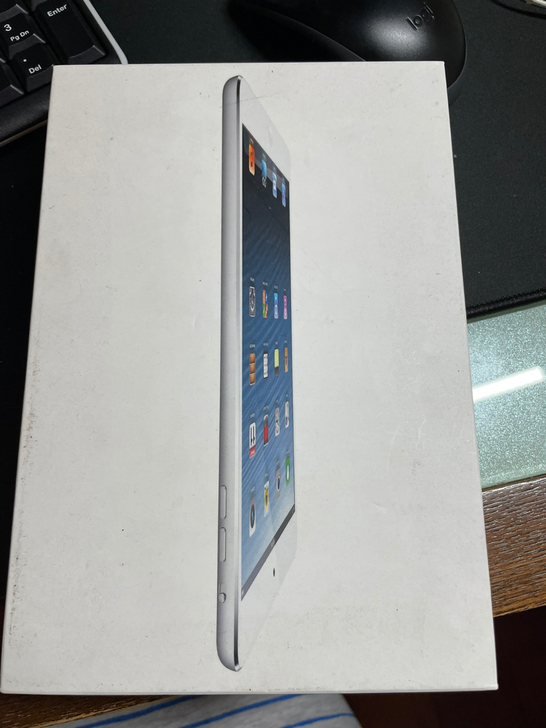 iPad Mini 1