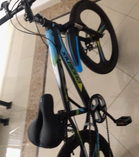 凤凰儿童自行车8-10-12岁中大童学生山...