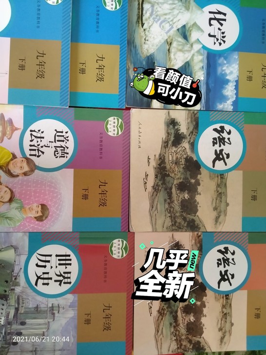 新旧程度 100