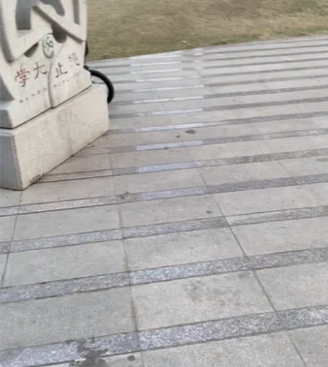 【女王价】凤凰儿童自行车2-3-6-7-8...