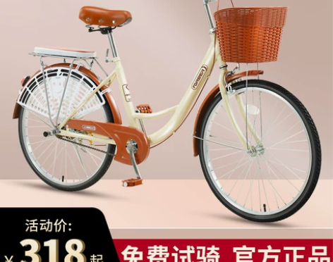 永久自行车 牌通勤女轻便上班大人学生单车男