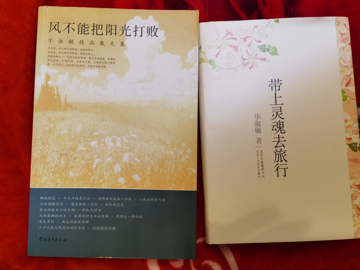 毕淑敏散文，全新，无褶皱，无字迹，