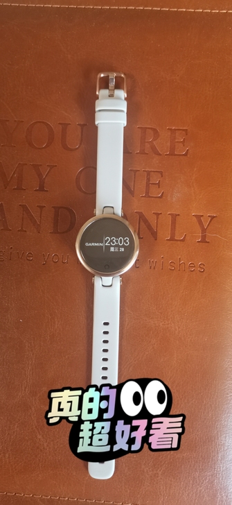 Garmin/佳明 lily 智能手表买来...