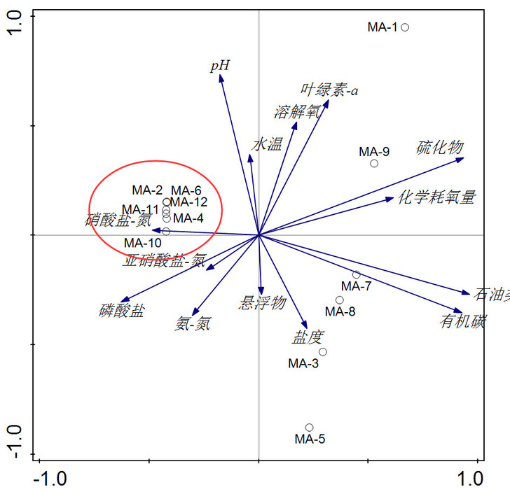 PCA CCA RNA图代做