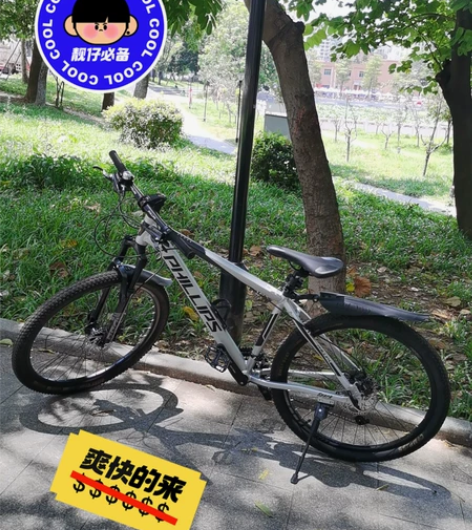代友出售菲利普山地自行车一台 33速油碟...