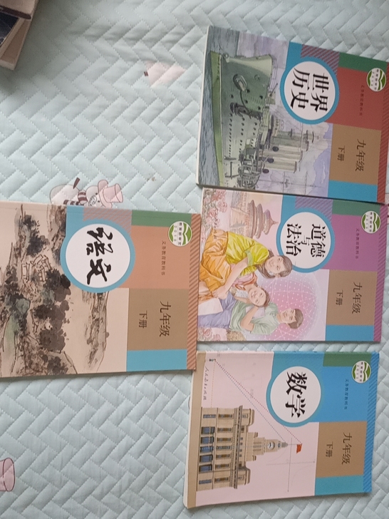 九年级教科书，九年级冲刺中考辅导书（有认真...