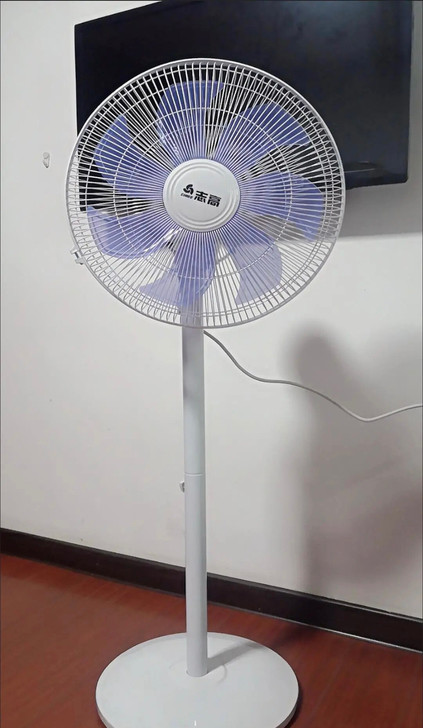 志高电风扇落地扇家用台式小型夏天立式遥控宿...
