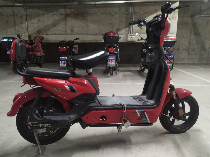 爱狮电动车，去年8月份实体专卖店买的，所有...