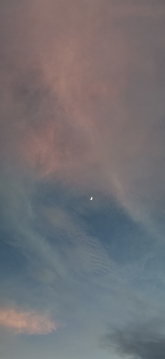 四川省小学初中思想政治教资面试陪练