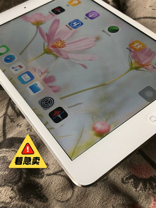 苹果iPad mini2国行32g,成色真...