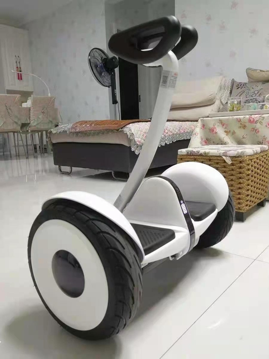 Ninebot全新未拆封小米九号平衡车pl...