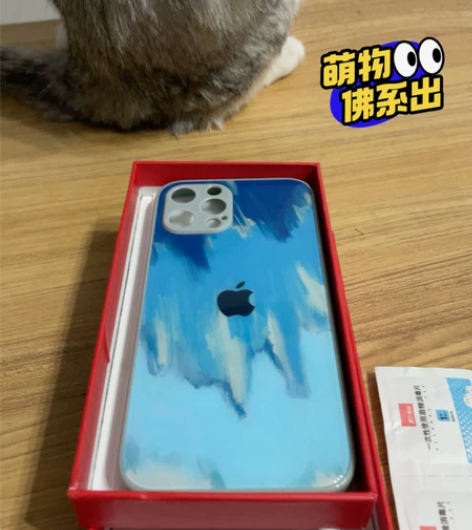 iphone13 promax手机壳！全新...
