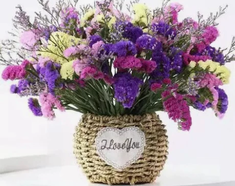 云南勿忘我满天星花束风干真花2斤插花家居摆...