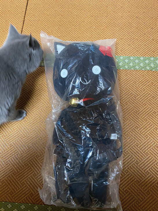 仙境传说RO 游戏周边 黑猫包 全新未拆封