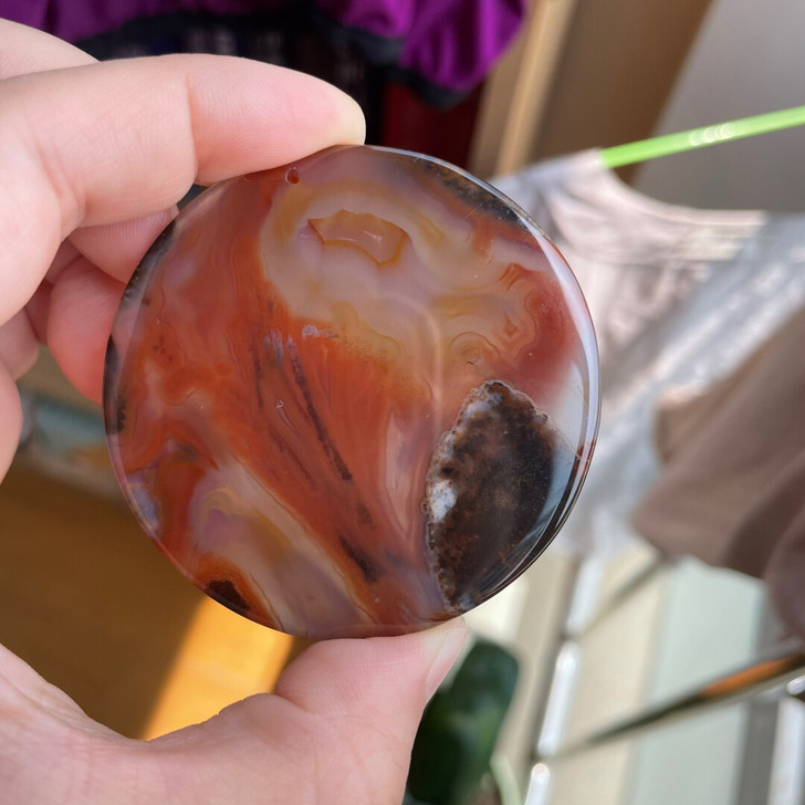 古代海洋生物玛瑙化石牌子 玛瑙风景牌