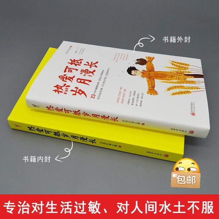 《热爱可抵岁月漫长》猫头鹰著青春文学励志小...