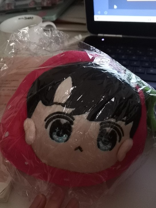 林彦俊的炒鸡可爱的娃娃周边