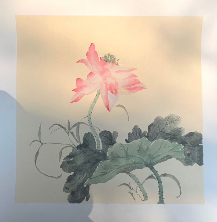 #国画##没骨# 工笔小品 均为自己绘画，...