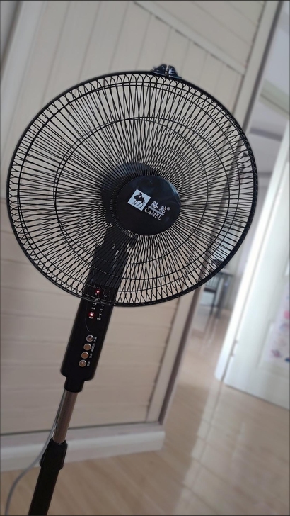 【清仓处理】处理十几台电风扇 落地扇 ...