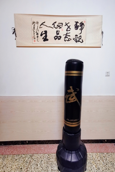 拳击沙袋散打立式不倒翁家用成人沙包