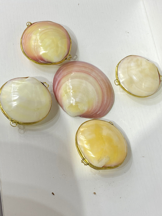 白菜价 捡漏价 5个粉蛤打包 天然颜色深海...