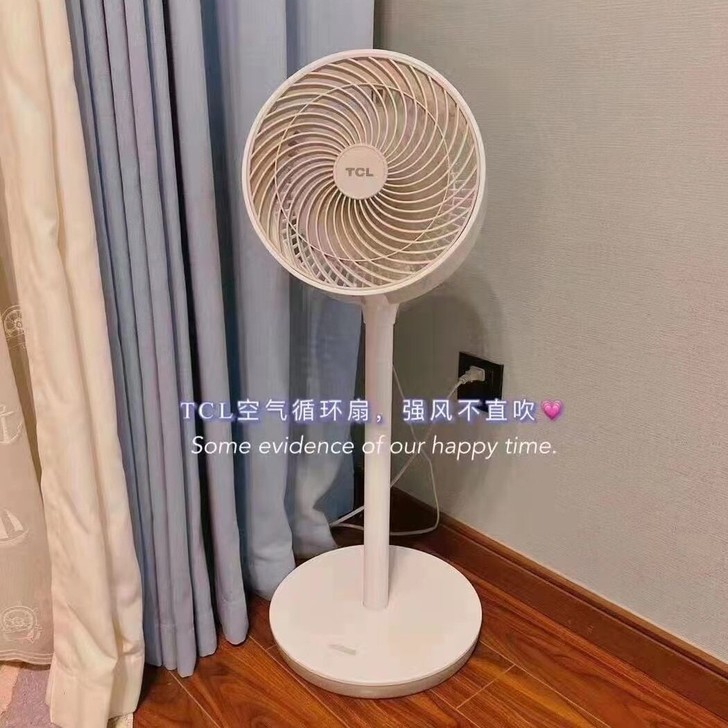 TCL空气循环扇家用静音落地扇可摇头立式