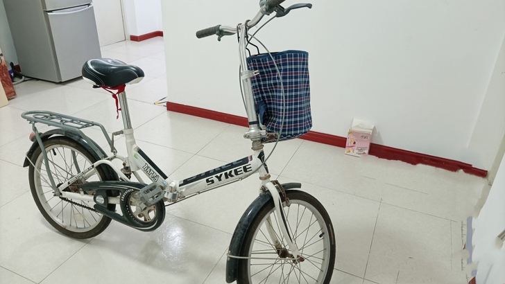20寸赛克折叠车，原来上班代步用的，买车后...